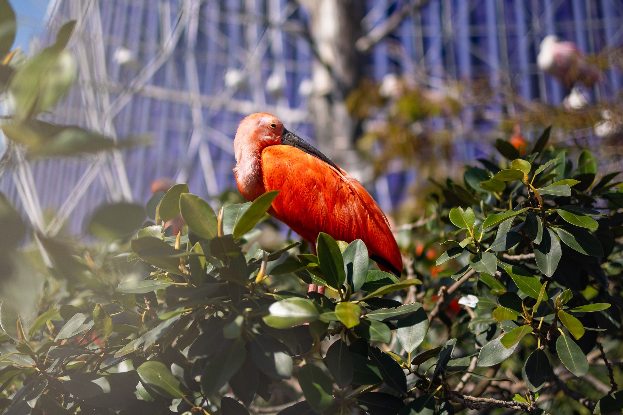 Ryan Stanikk Photography – Valencia, Spain