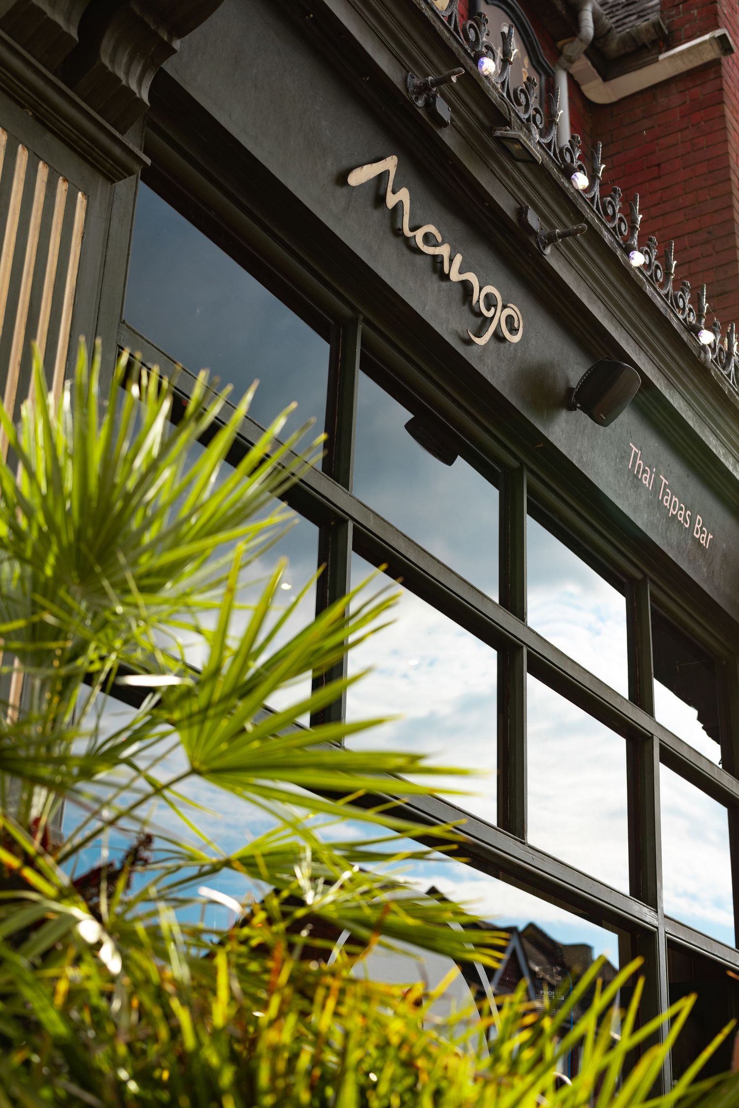 Mango Thai Tapas Bar storefront with dark grey frame, large glass windows, ornate brick facade and palm plants in the foreground, commercial exterior photography