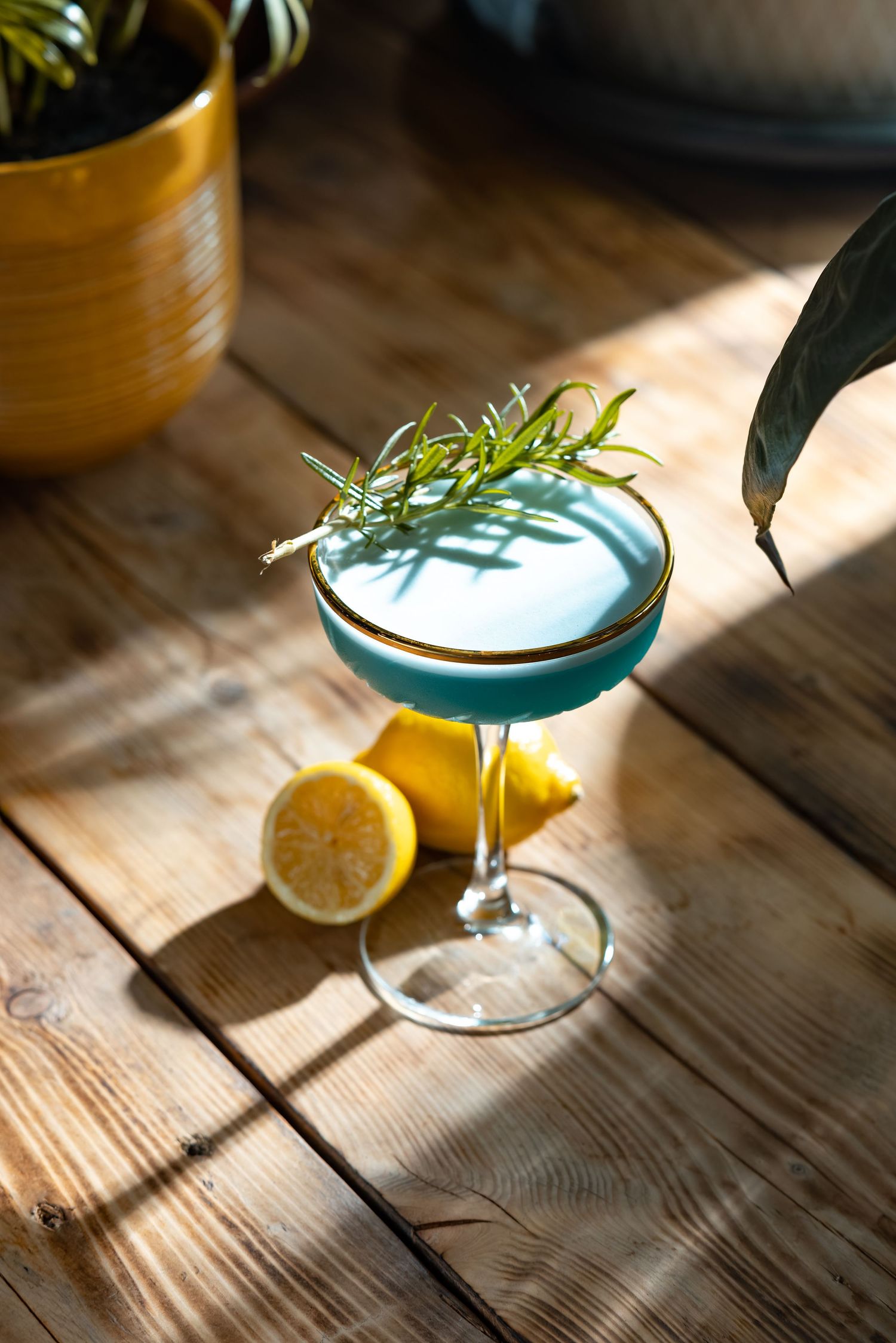 Blue cocktail in a gold-rimmed coupe glass with rosemary garnish and lemon in natural sunlight at Mettricks cafe Southampton, drink photography