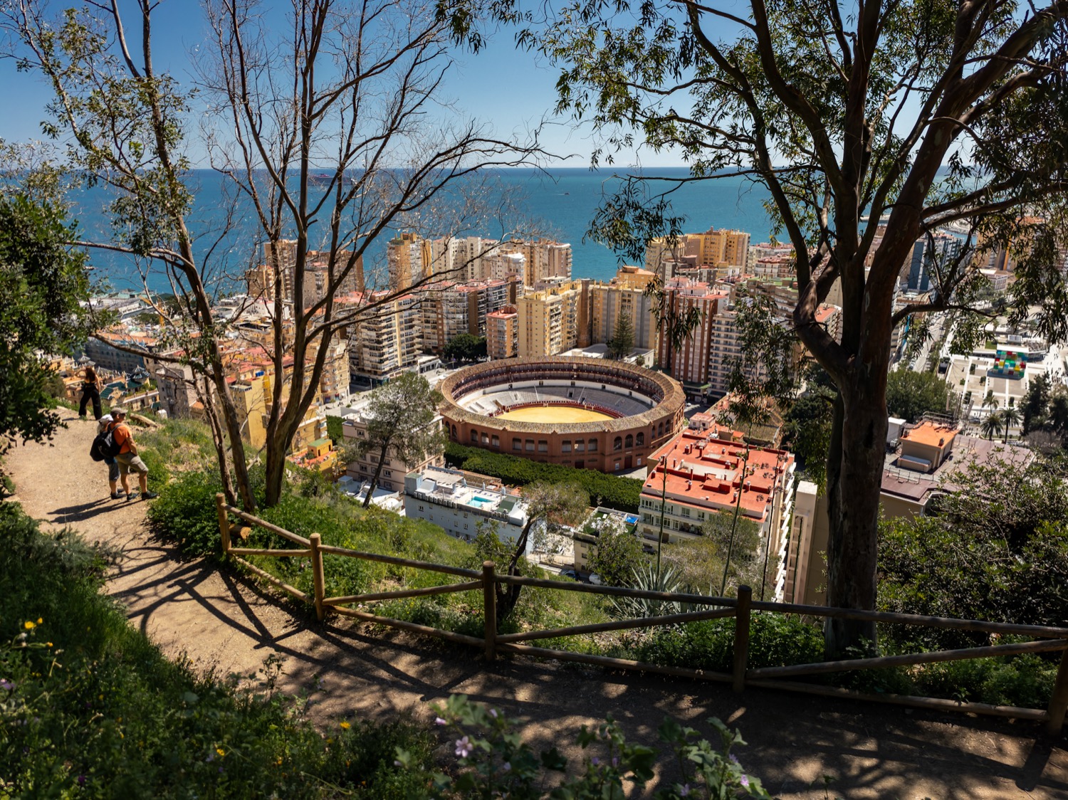 La Malagueta bullring and the sea seen through trees from the Gibralfaro hillside, Malaga, Spain, travel photography