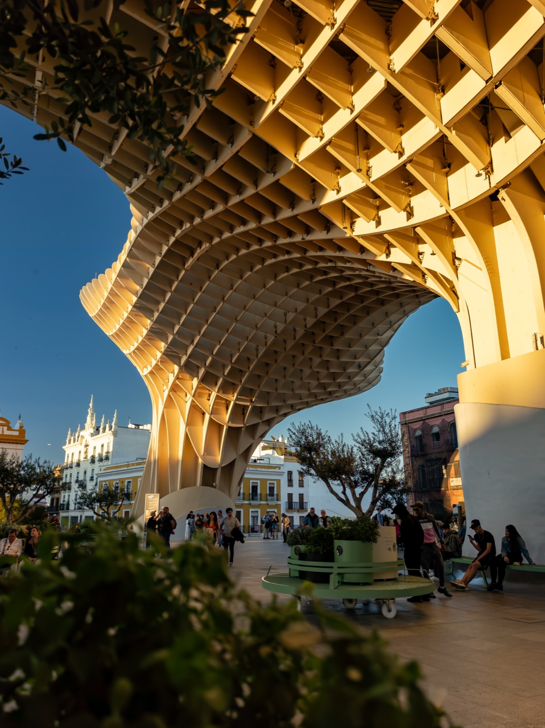 The timber lattice of the Metropol Parasol curving overhead, Seville, Spain, travel photography