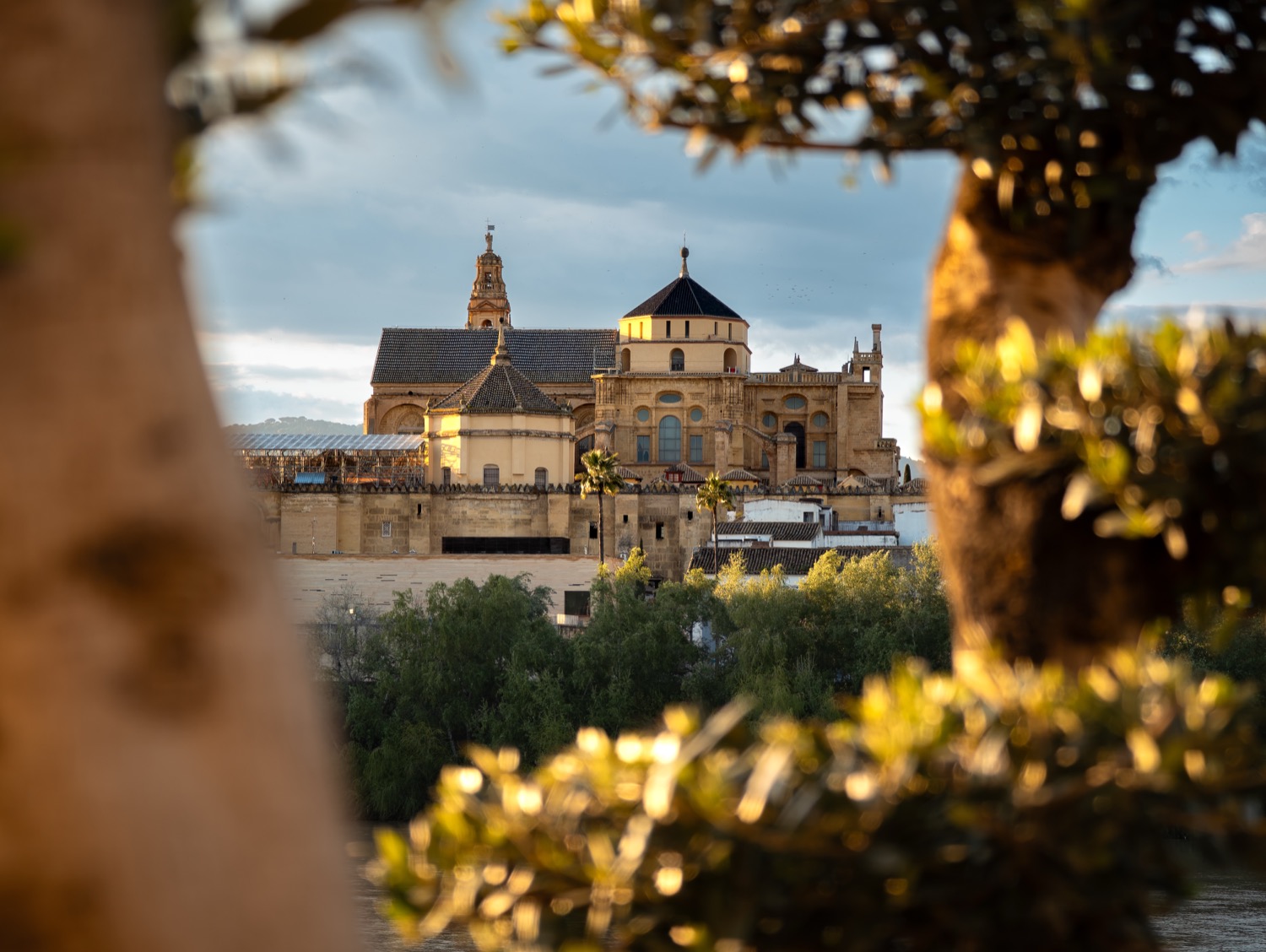 The Mezquita of Cordoba seen through the leaves of a courtyard tree, Spain, travel photography