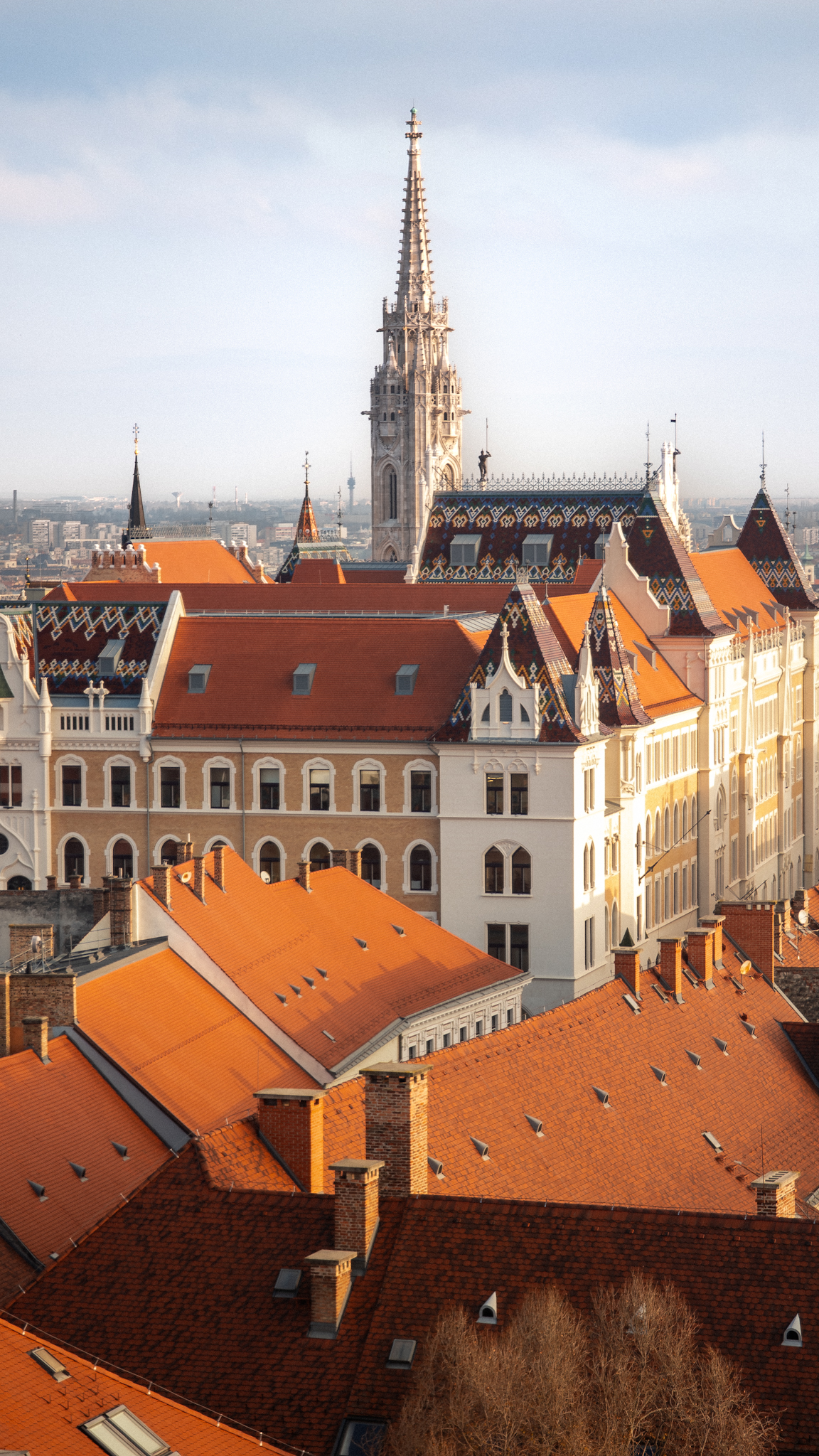 Terracotta rooftops below a gothic church spire, Budapest, Hungary, travel photography