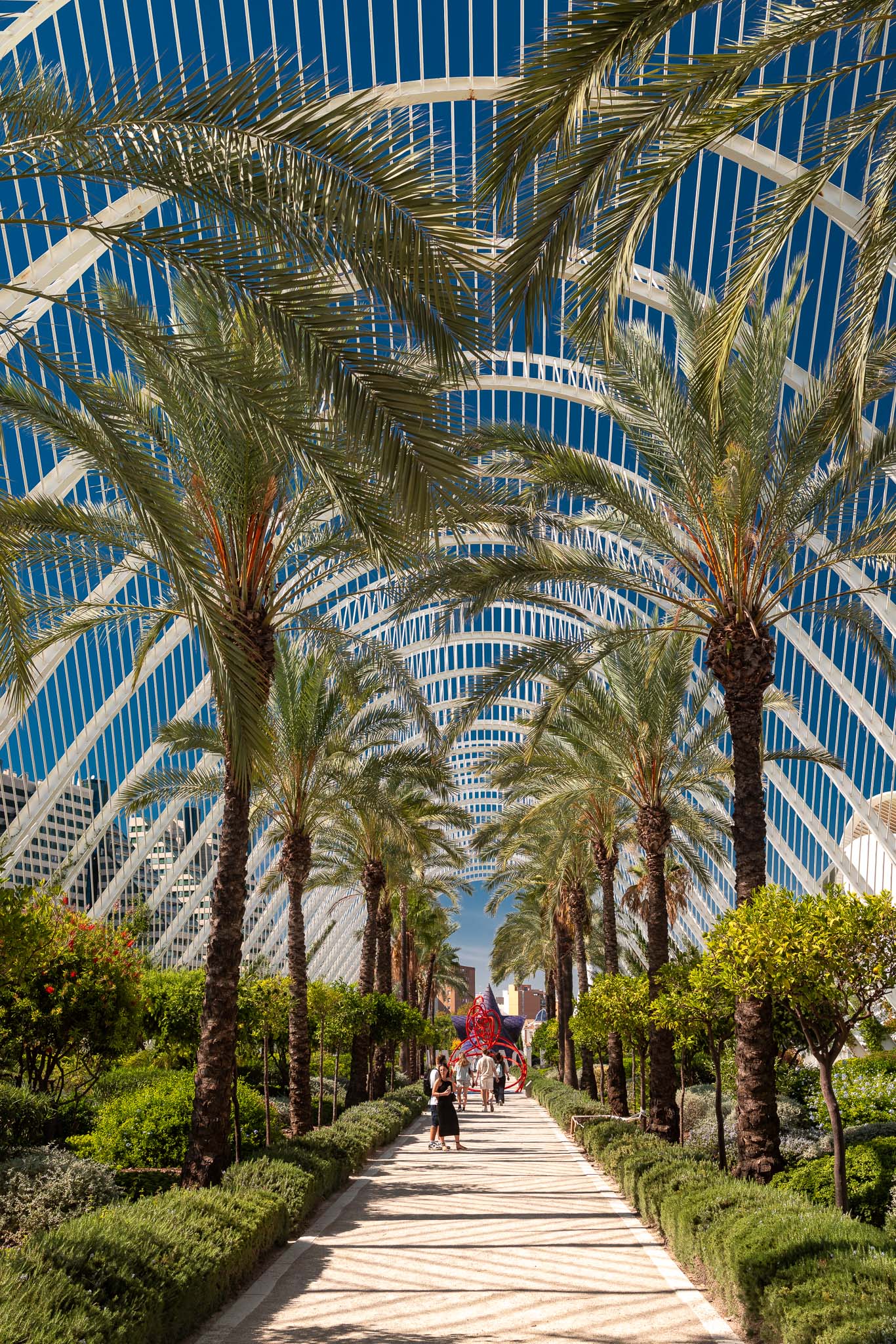 Palm-lined walkway beneath the white arches of the Umbracle, Valencia, Spain, travel photography